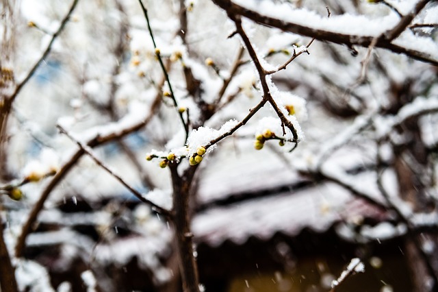 财富